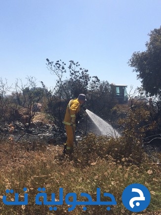 إندلاع حريق هائل في حرش وادي عارة-عيرون وقوات الإطفاء تهرع لإخماده